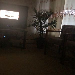 Meet your Posher, Astrid